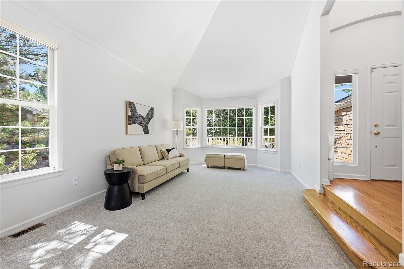 MLS Image #10 for 2226  weatherstone circle,highlands ranch, Colorado