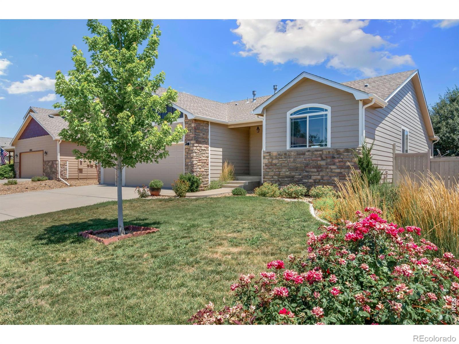 MLS Image #2 for 8972  raging bull lane,wellington, Colorado