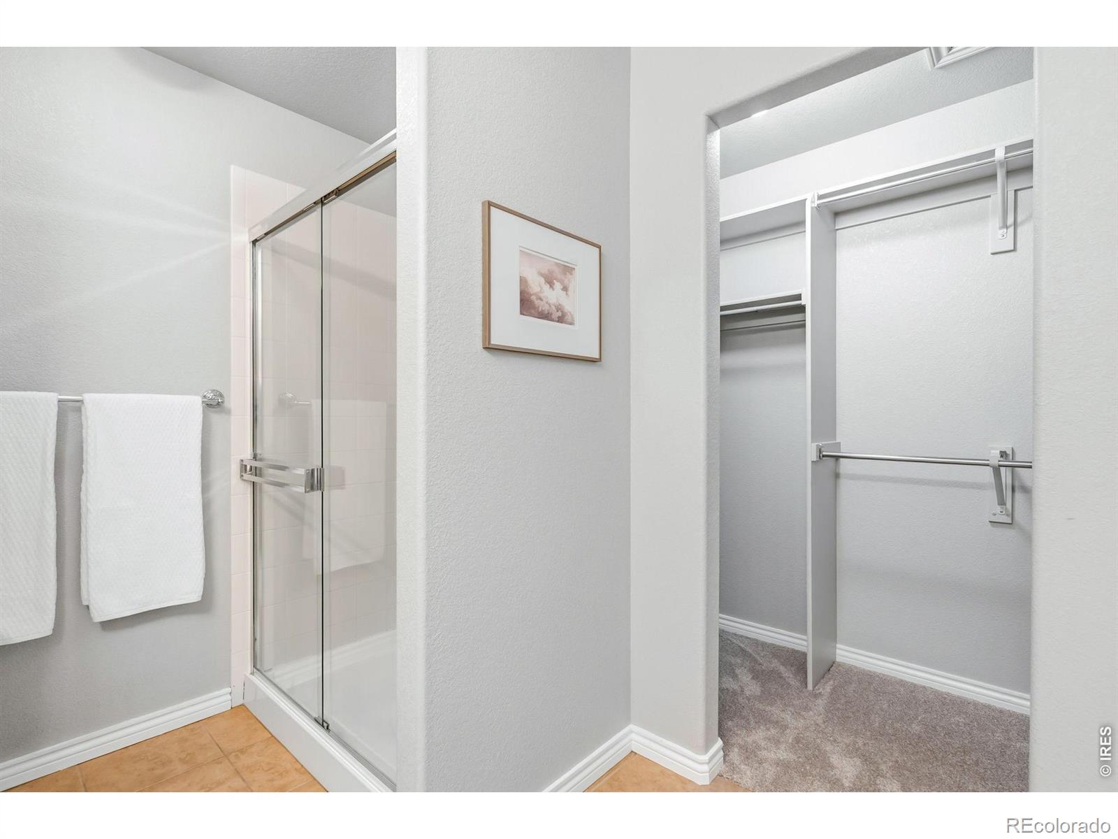 MLS Image #27 for 8972  raging bull lane,wellington, Colorado