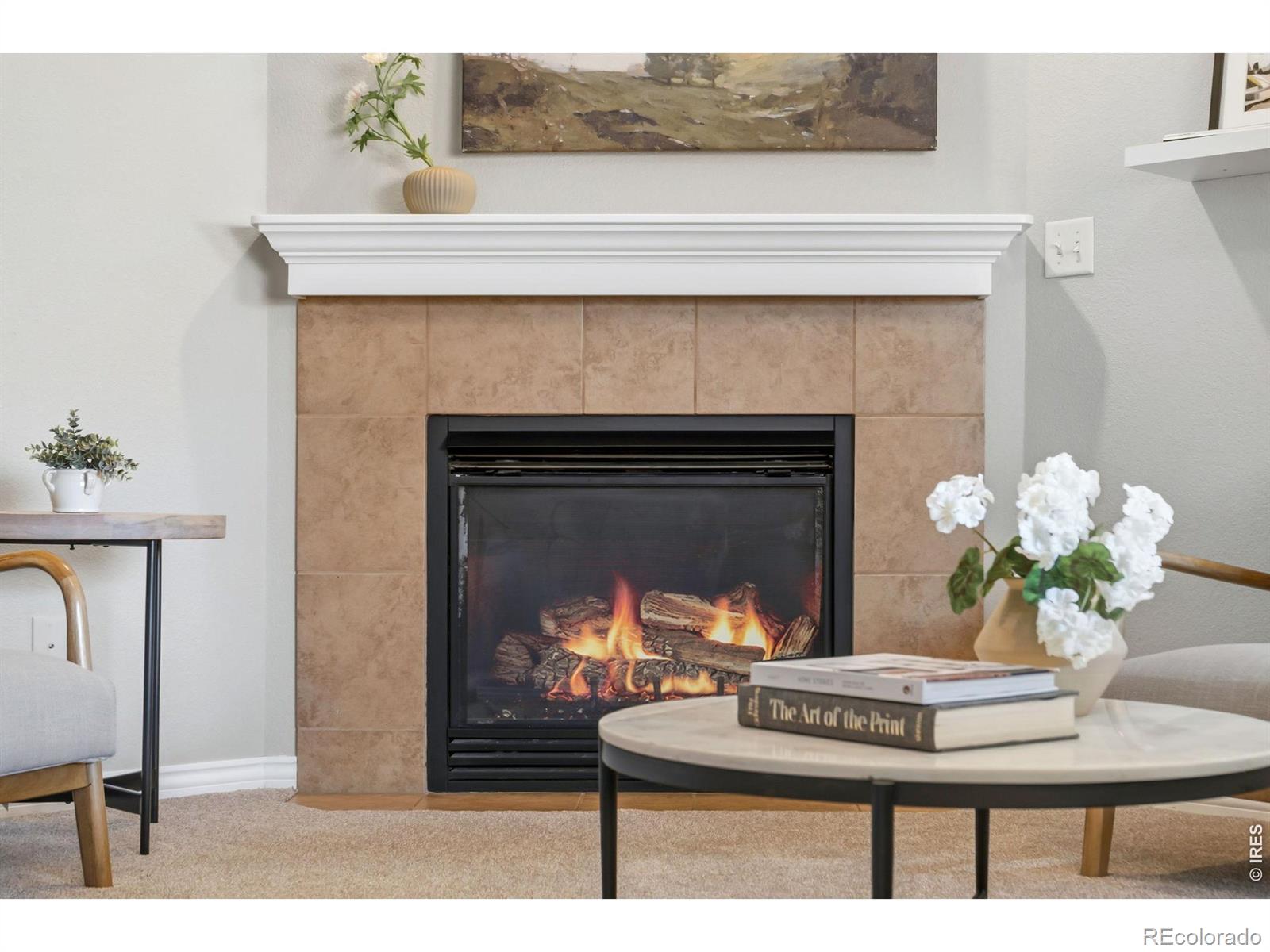 MLS Image #9 for 8972  raging bull lane,wellington, Colorado