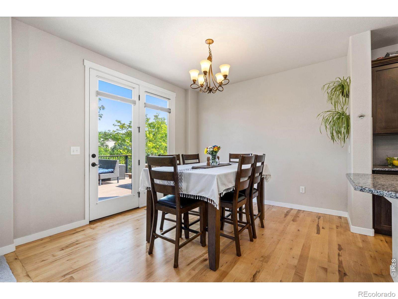 MLS Image #12 for 1210  baldridge drive,severance, Colorado