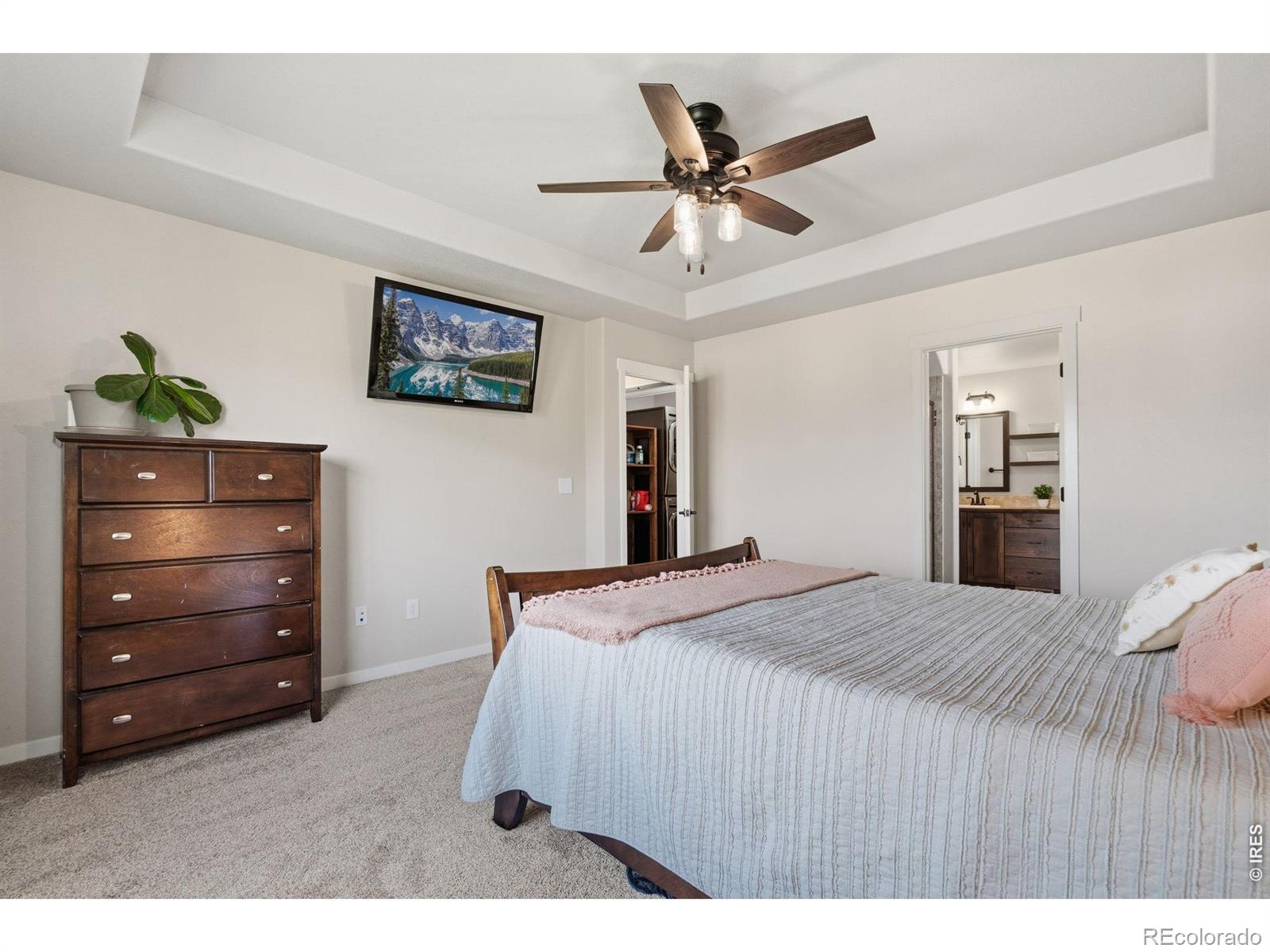MLS Image #20 for 1210  baldridge drive,severance, Colorado