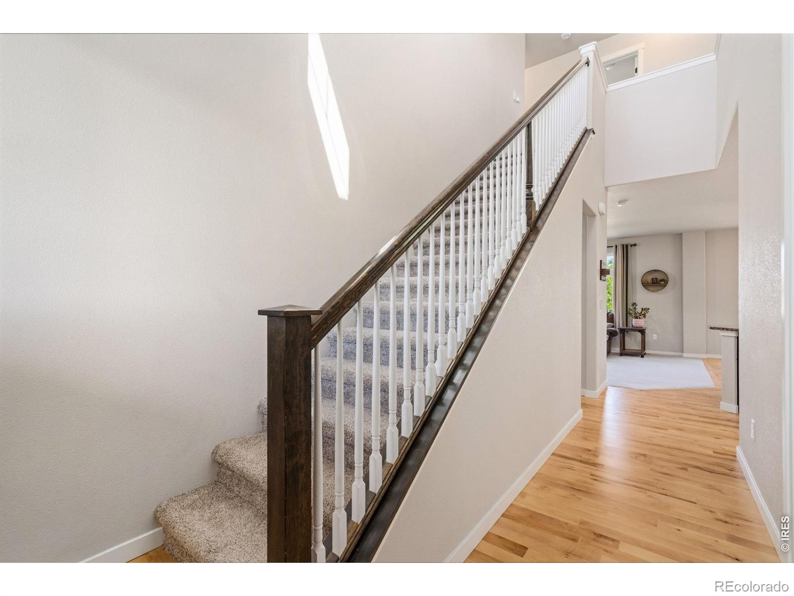MLS Image #5 for 1210  baldridge drive,severance, Colorado