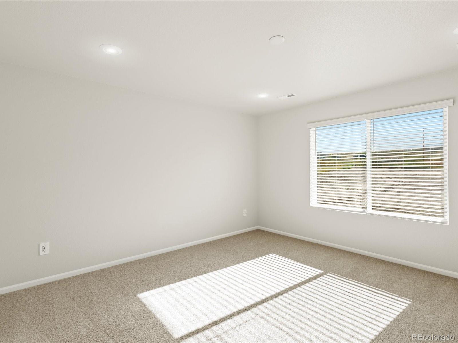 MLS Image #12 for 1656  yampa river drive,windsor, Colorado