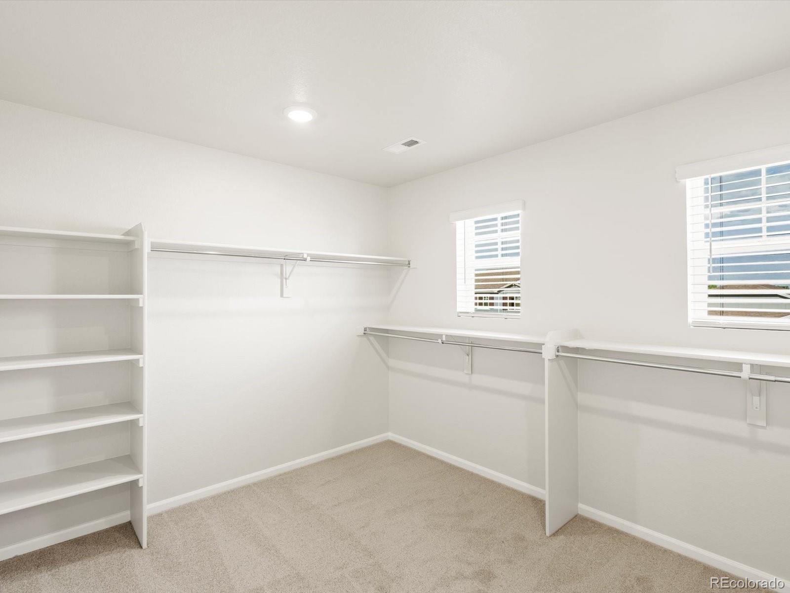 MLS Image #19 for 1656  yampa river drive,windsor, Colorado