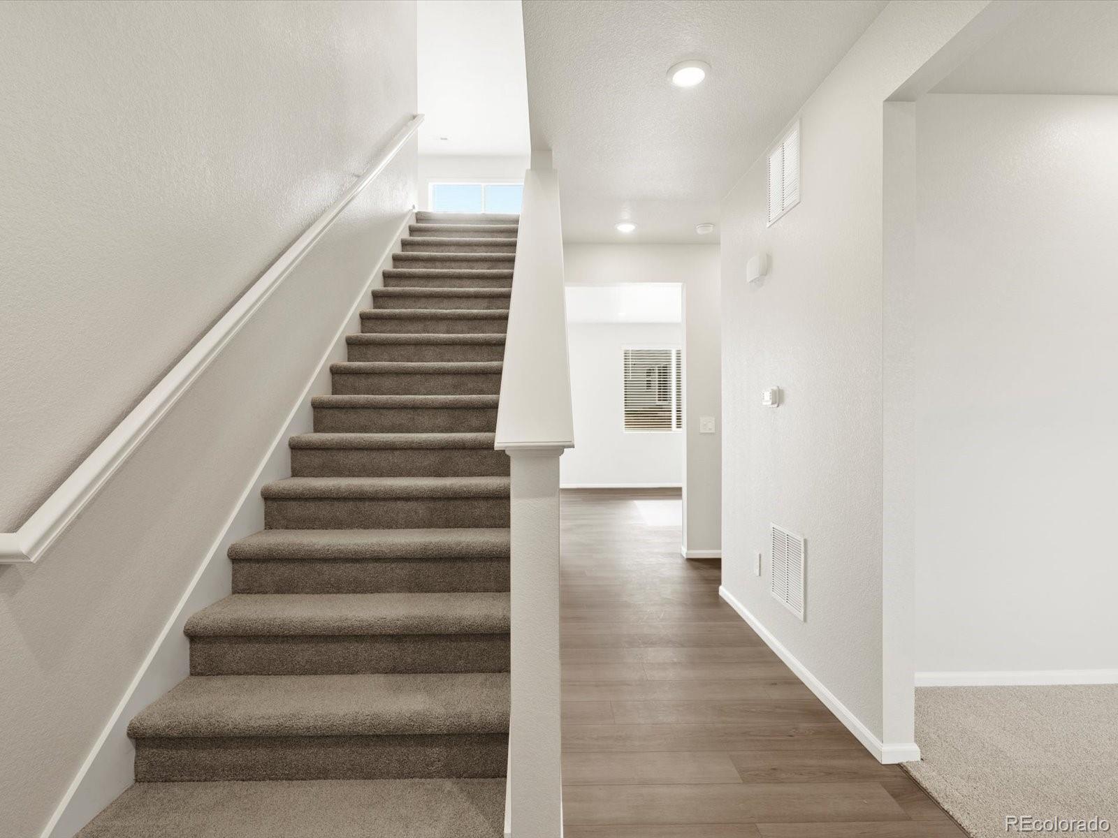 MLS Image #7 for 1656  yampa river drive,windsor, Colorado