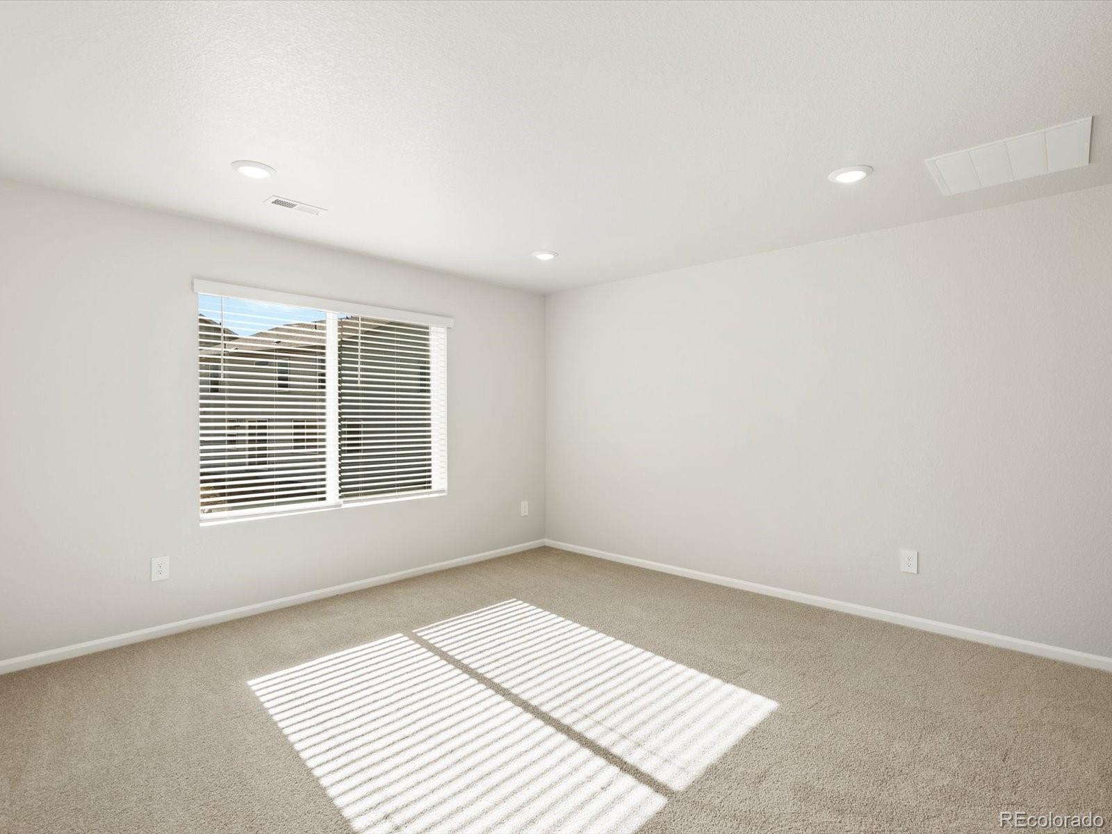 MLS Image #9 for 1656  yampa river drive,windsor, Colorado