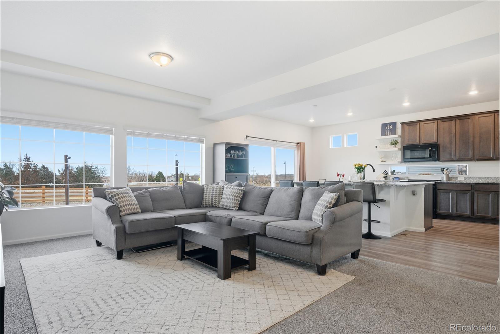 MLS Image #19 for 16541 e 111th drive,commerce city, Colorado