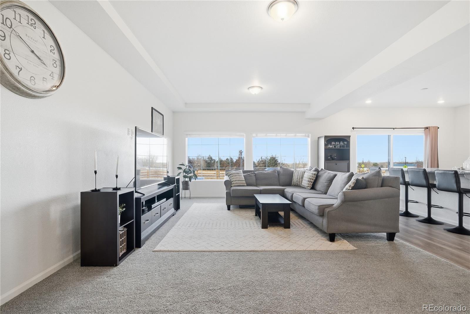 MLS Image #8 for 16541 e 111th drive,commerce city, Colorado