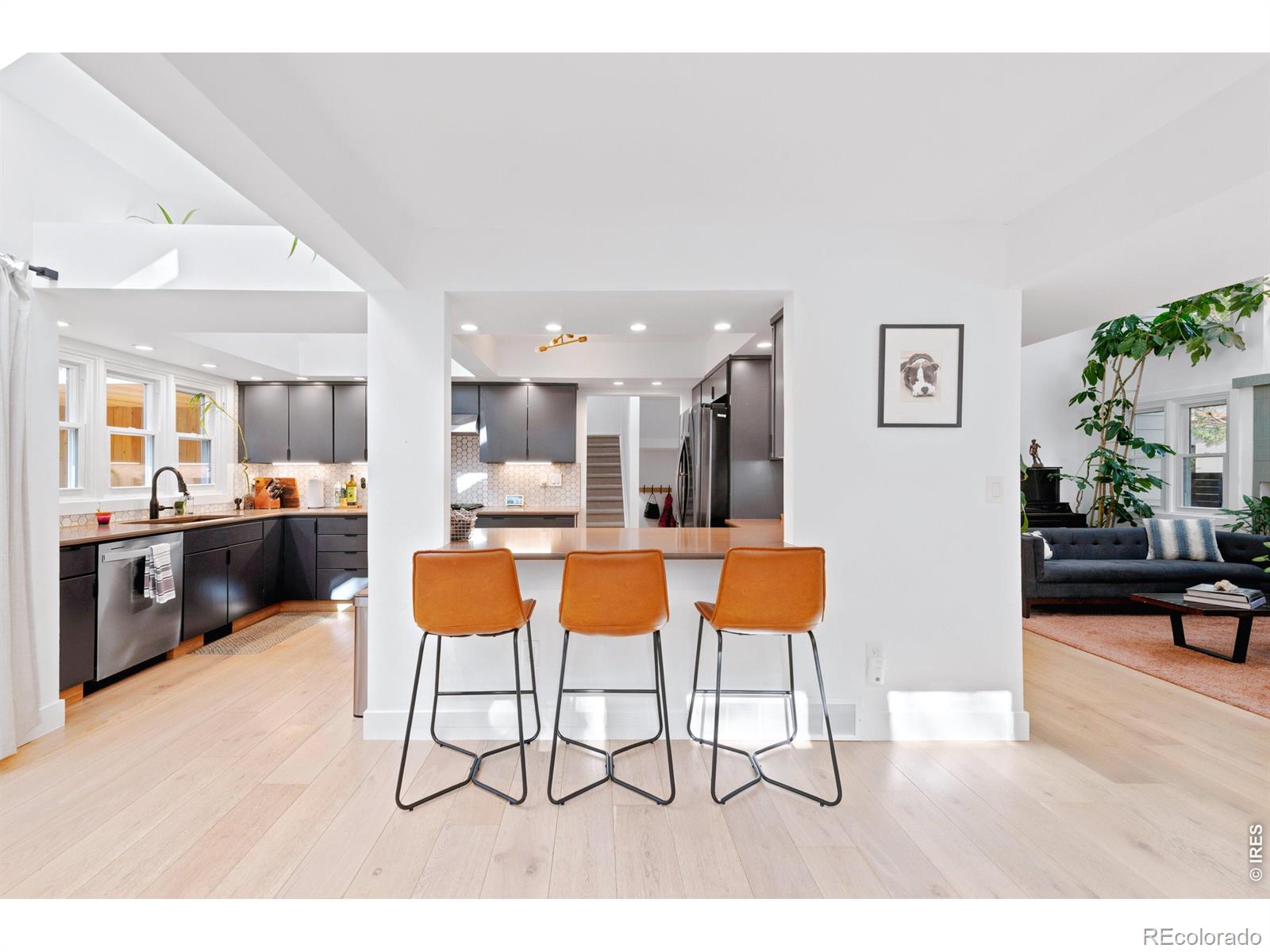 MLS Image #4 for 3497  iris court,boulder, Colorado