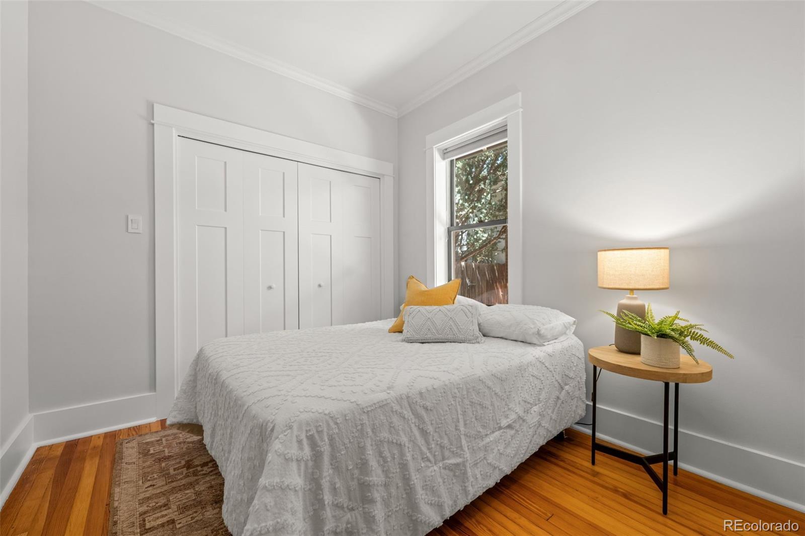 MLS Image #23 for 1525 s sherman street,denver, Colorado