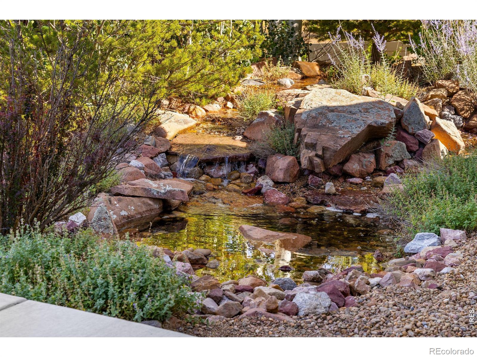 MLS Image #48 for 1503  stones peak drive,longmont, Colorado