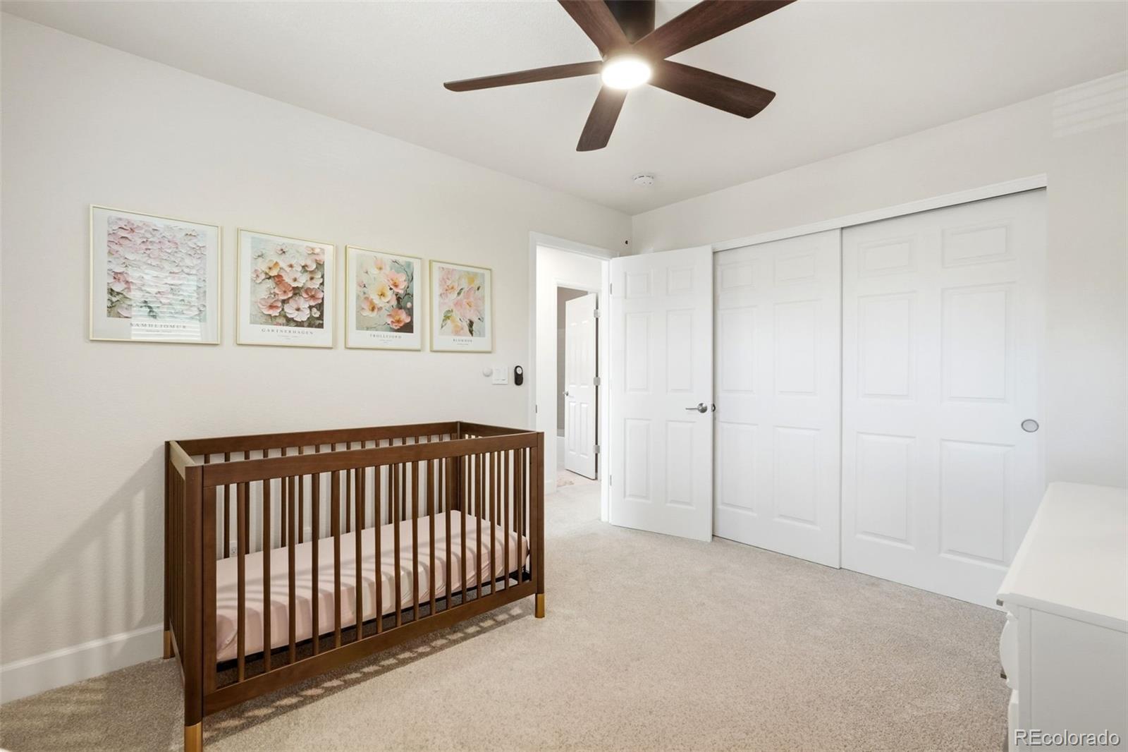 MLS Image #24 for 5630  cheetah chase ,lone tree, Colorado