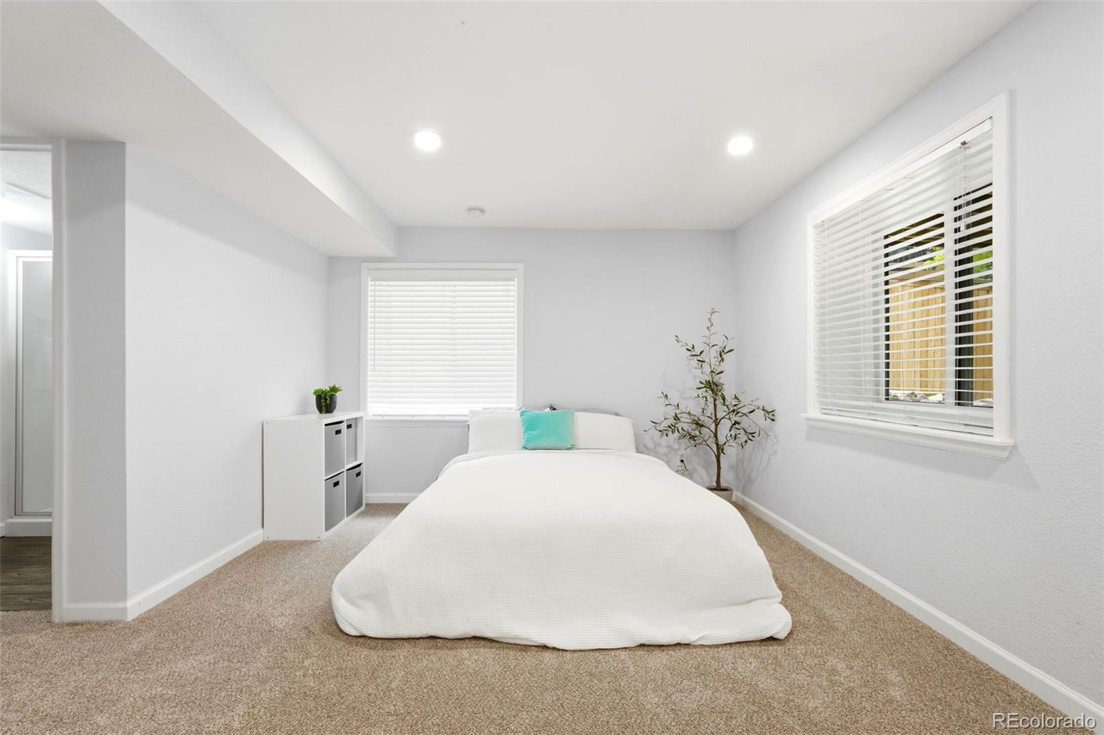 MLS Image #31 for 5630  cheetah chase ,lone tree, Colorado