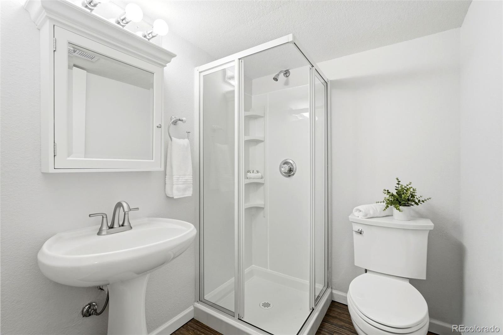 MLS Image #33 for 5630  cheetah chase ,lone tree, Colorado