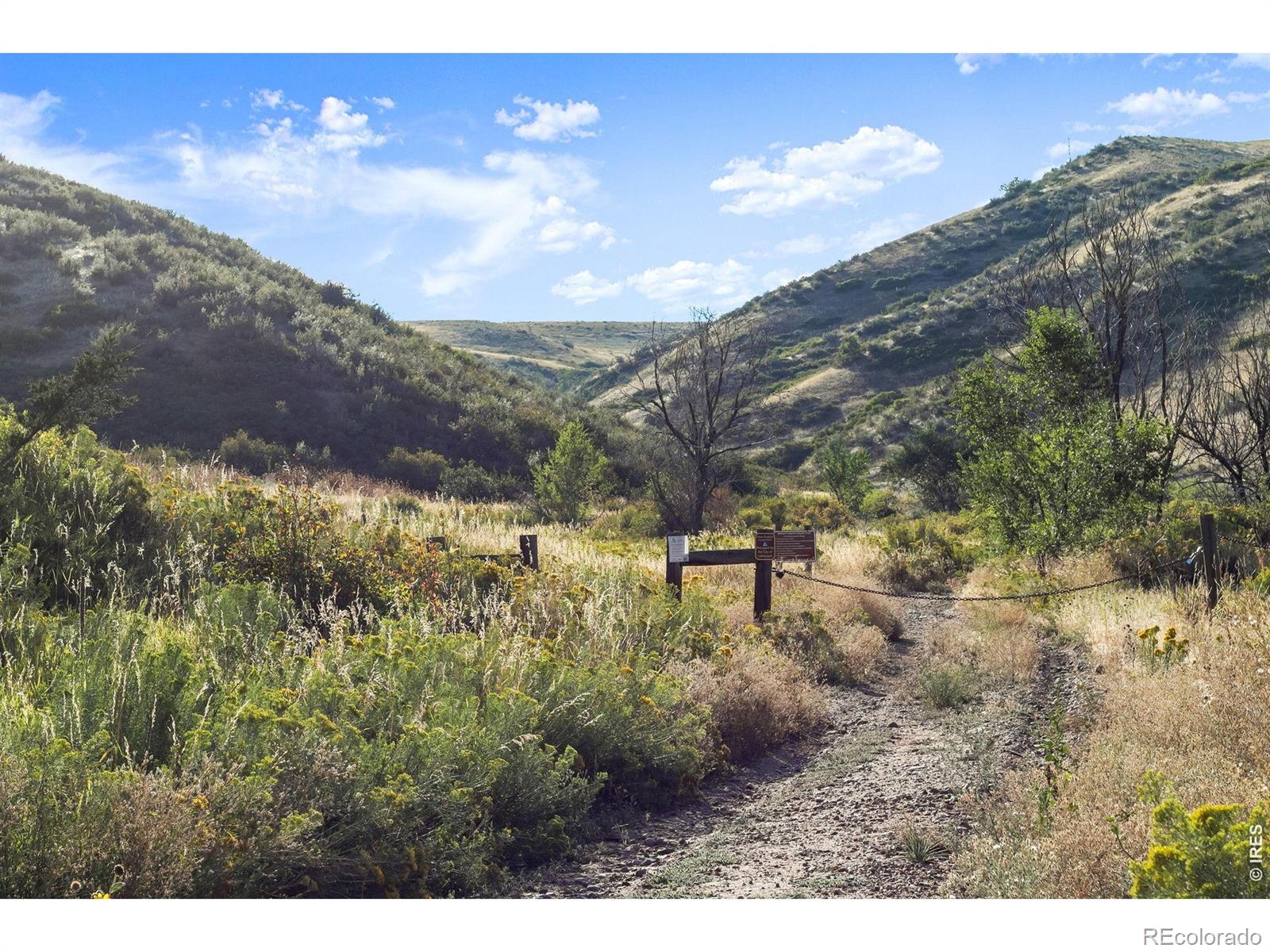 MLS Image #43 for 536  holman way,golden, Colorado