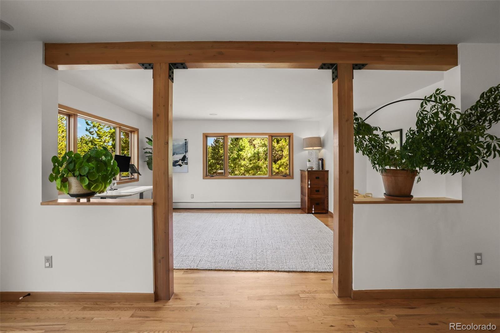 MLS Image #19 for 2920  olympia lane,evergreen, Colorado