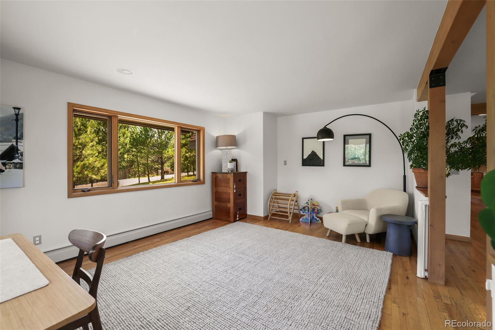 MLS Image #21 for 2920  olympia lane,evergreen, Colorado