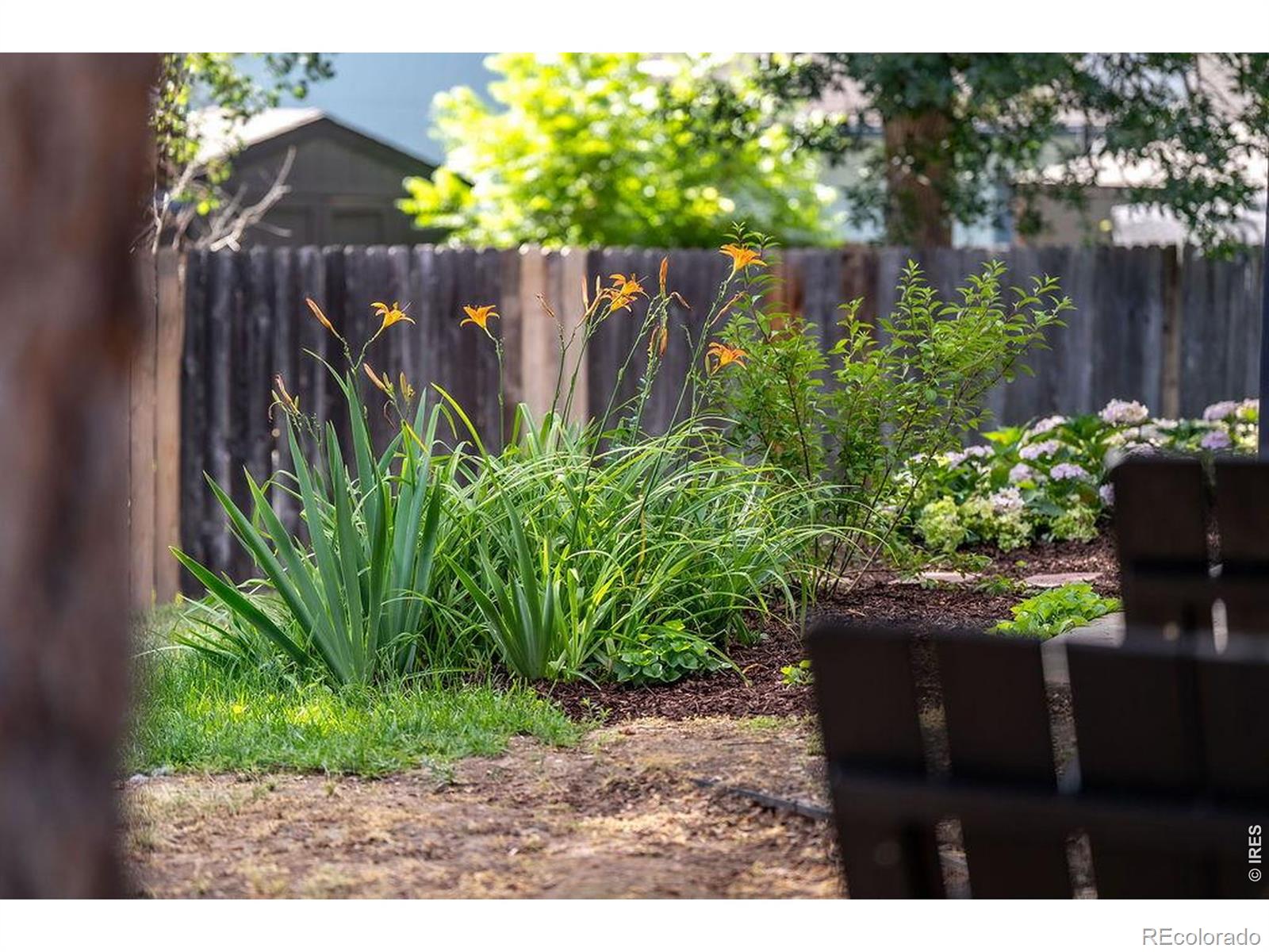 MLS Image #33 for 2207  charolais drive,fort collins, Colorado