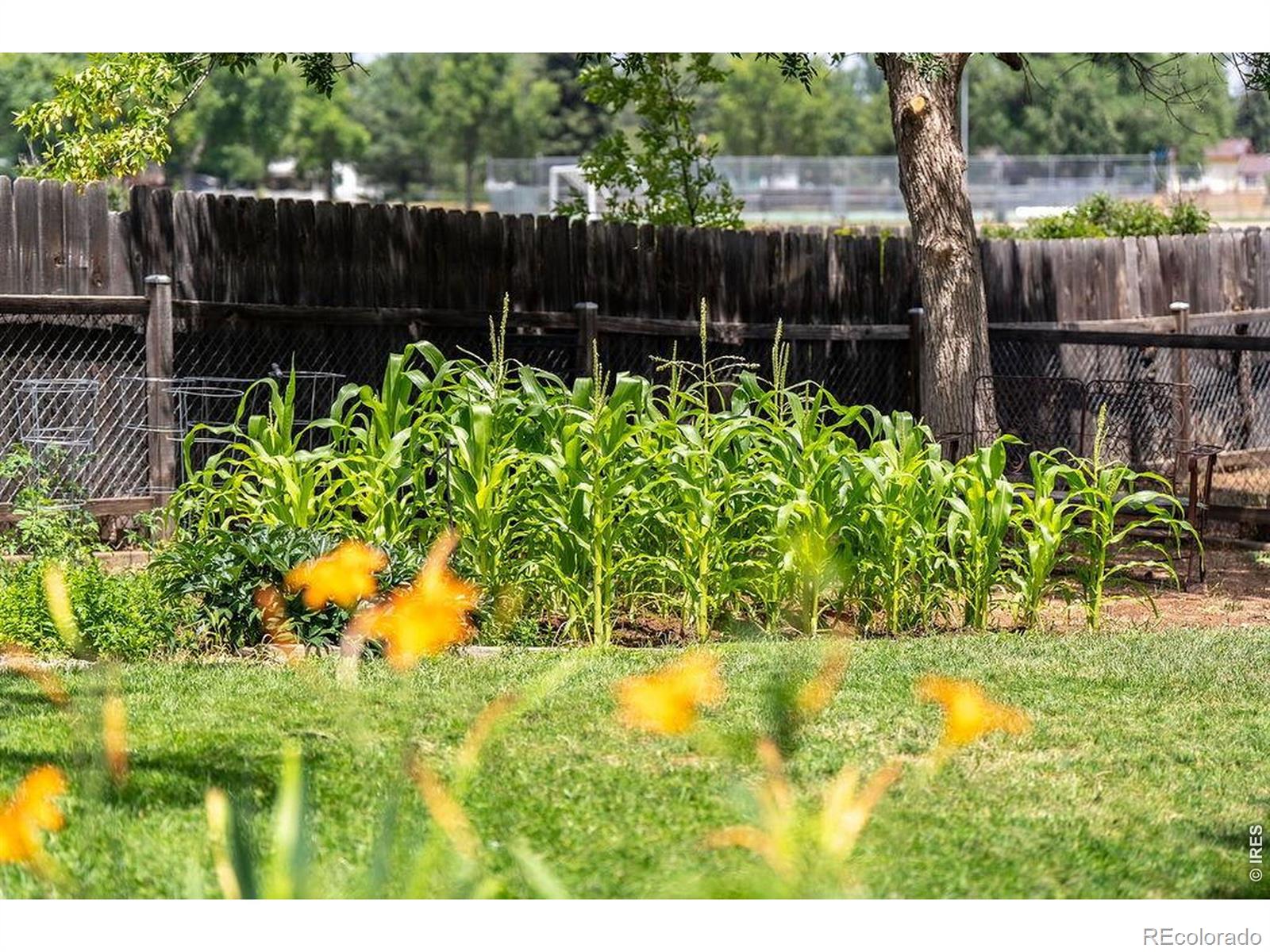 MLS Image #42 for 2207  charolais drive,fort collins, Colorado