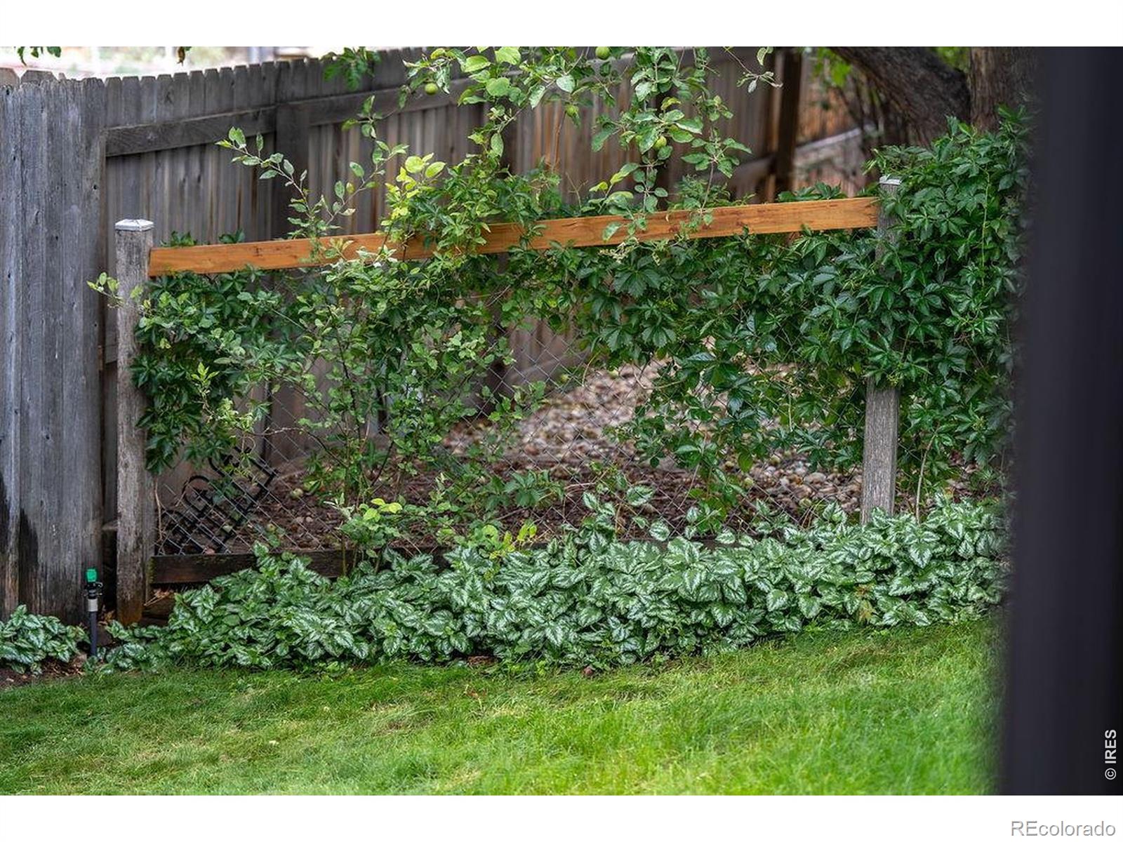 MLS Image #44 for 2207  charolais drive,fort collins, Colorado