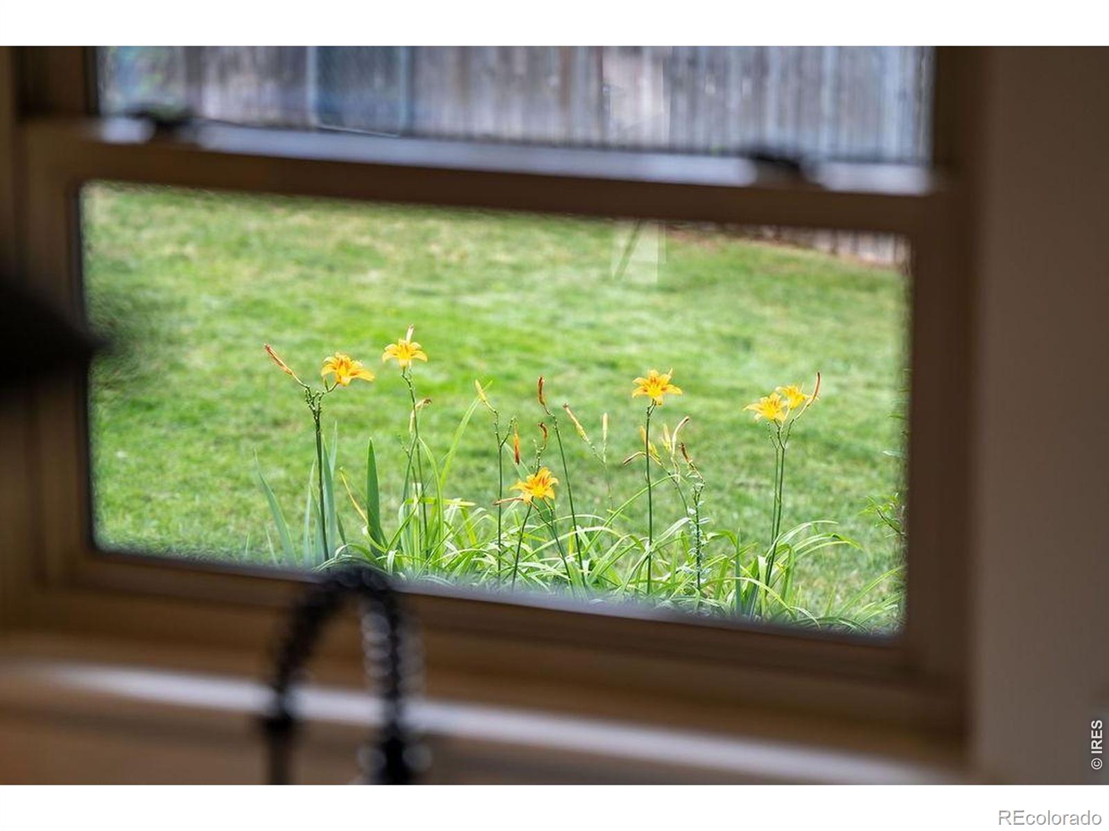 MLS Image #46 for 2207  charolais drive,fort collins, Colorado