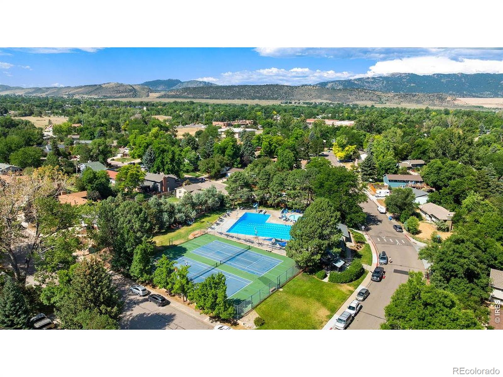 MLS Image #6 for 2207  charolais drive,fort collins, Colorado