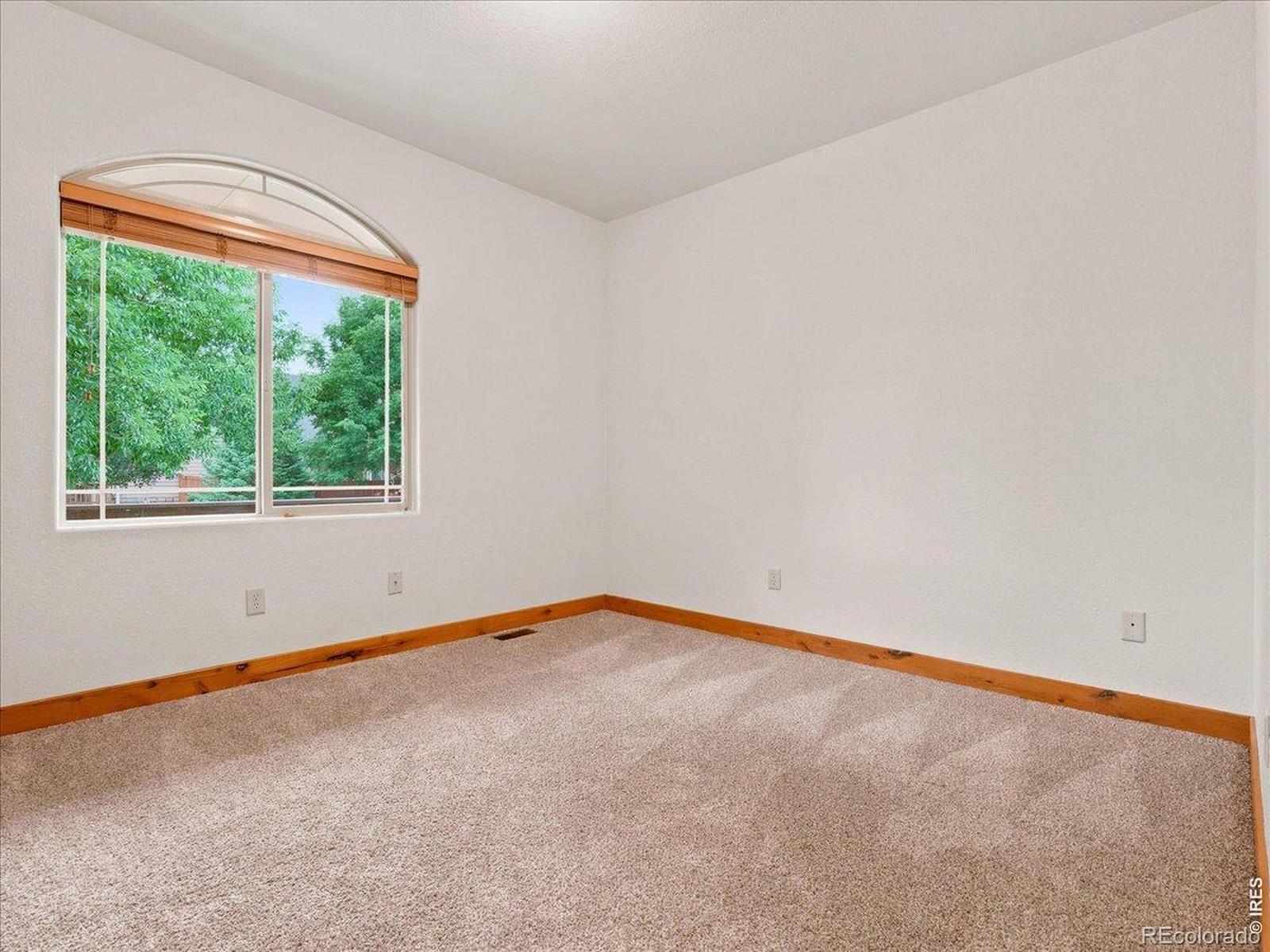 MLS Image #19 for 1660  antonio court,loveland, Colorado