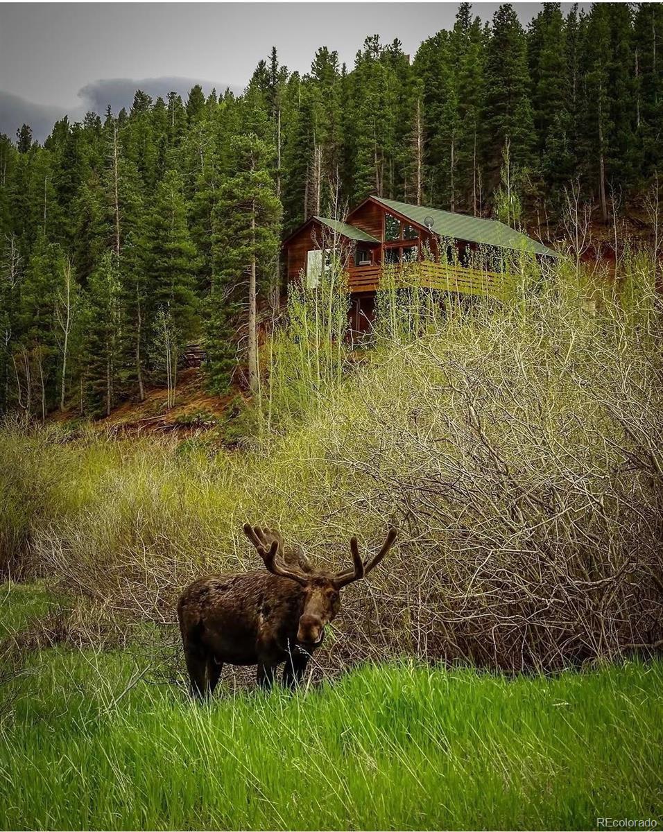 MLS Image #1 for 1682  clark road,bailey, Colorado