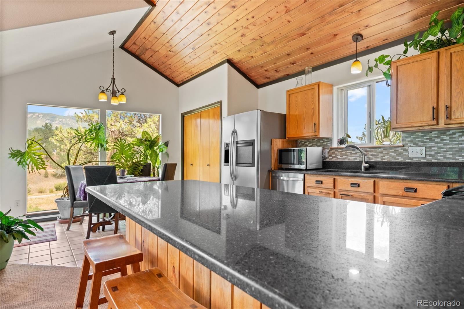 MLS Image #11 for 1682  clark road,bailey, Colorado