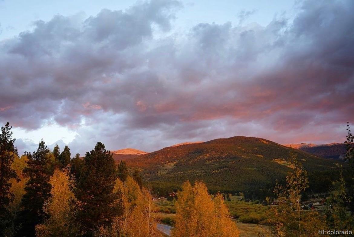 MLS Image #19 for 1682  clark road,bailey, Colorado
