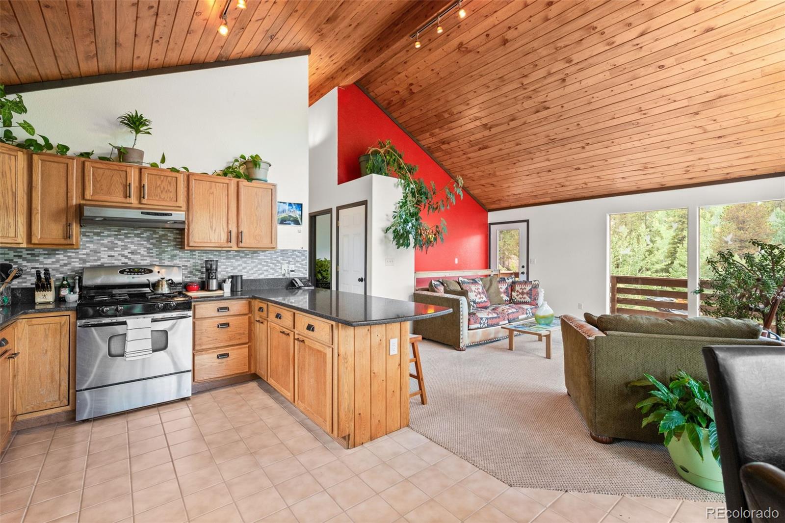 MLS Image #2 for 1682  clark road,bailey, Colorado