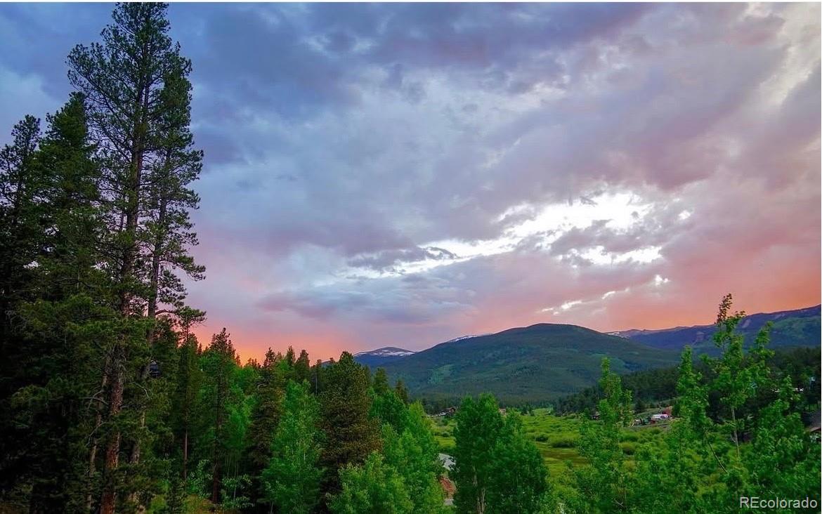 MLS Image #20 for 1682  clark road,bailey, Colorado