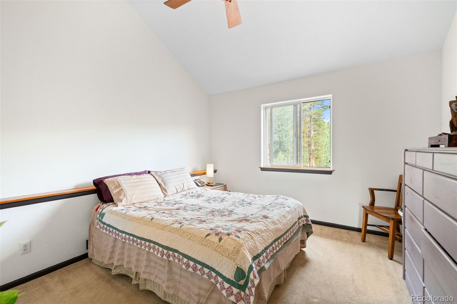 MLS Image #25 for 1682  clark road,bailey, Colorado