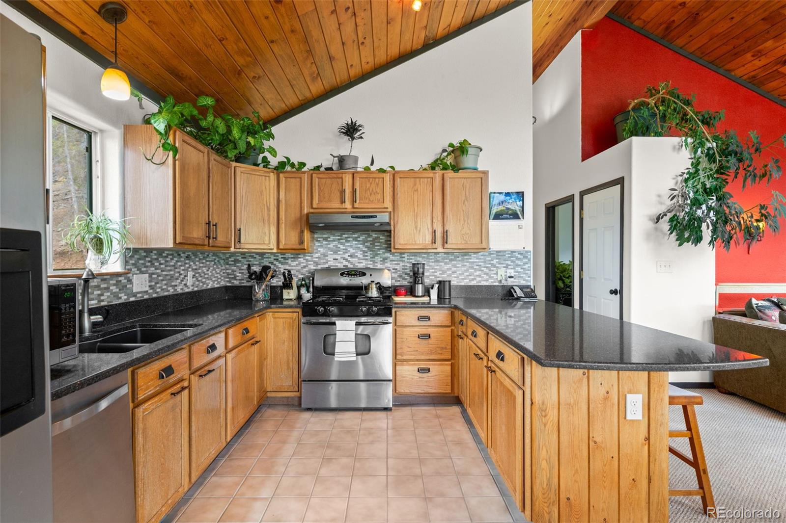 MLS Image #3 for 1682  clark road,bailey, Colorado