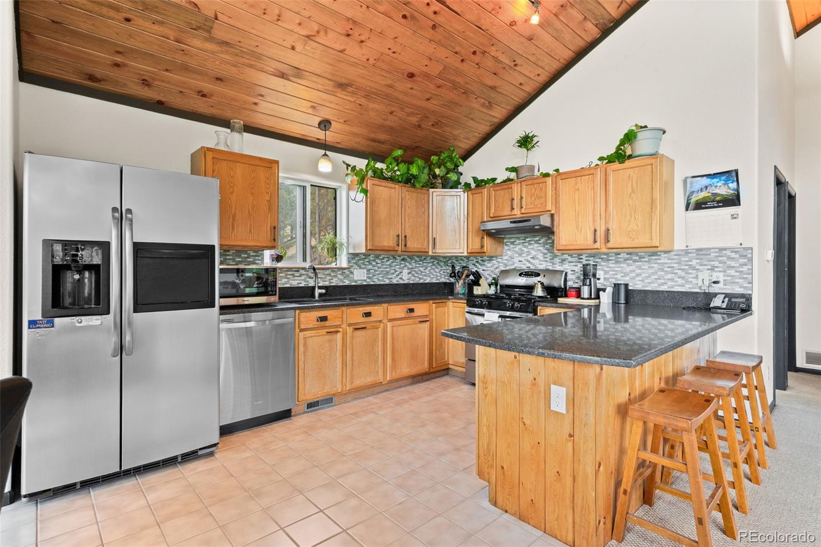 MLS Image #5 for 1682  clark road,bailey, Colorado