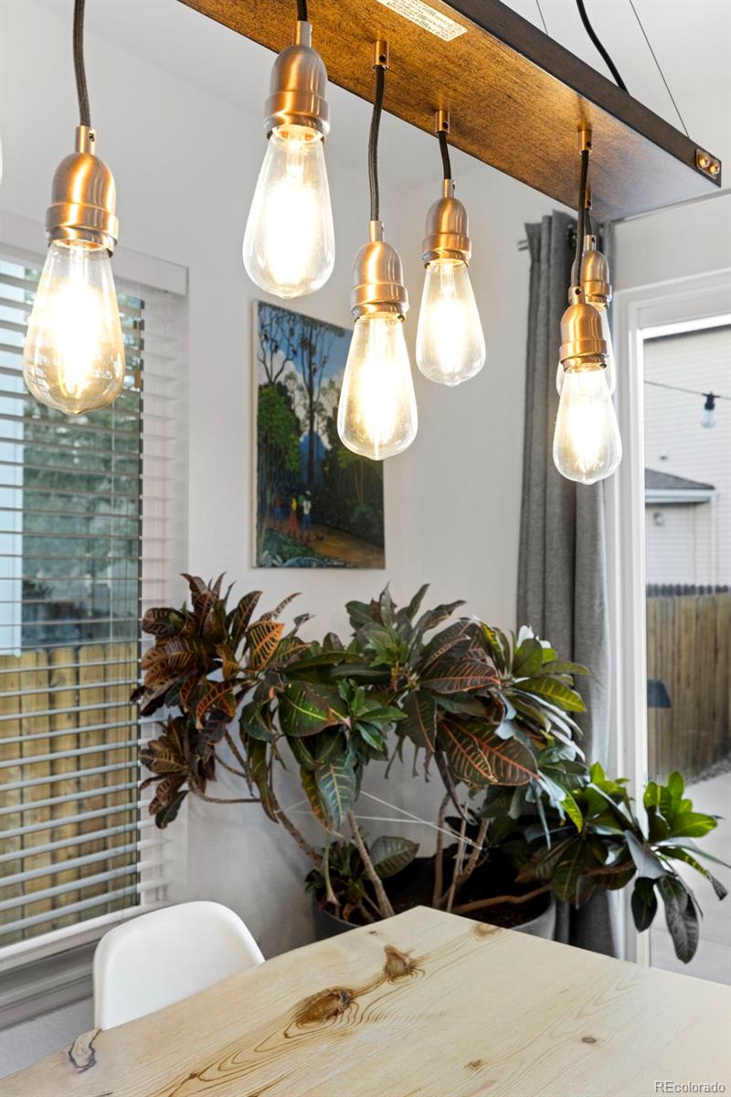 MLS Image #7 for 3688  dexter court,denver, Colorado