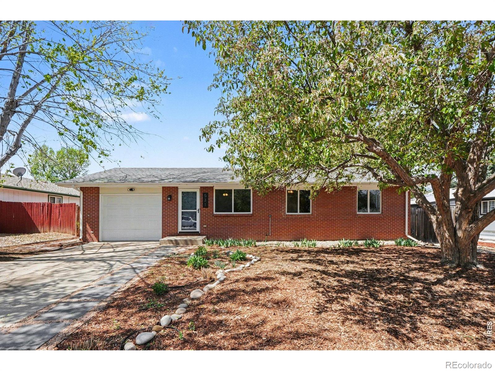 MLS Image #5 for 531  alpine street,longmont, Colorado