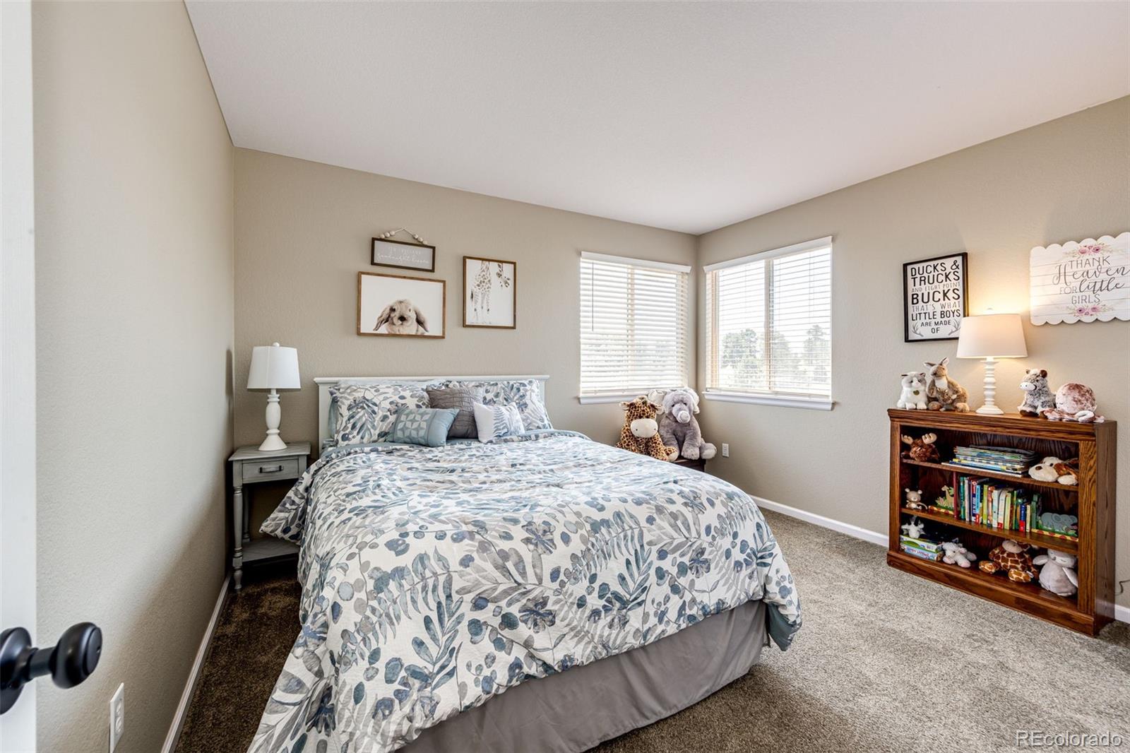 MLS Image #23 for 3430  pine meadow avenue,parker, Colorado