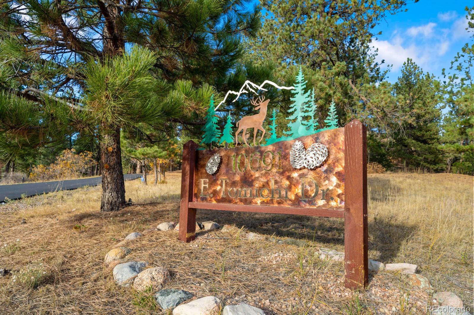 MLS Image #3 for 10691  tomichi drive,franktown, Colorado