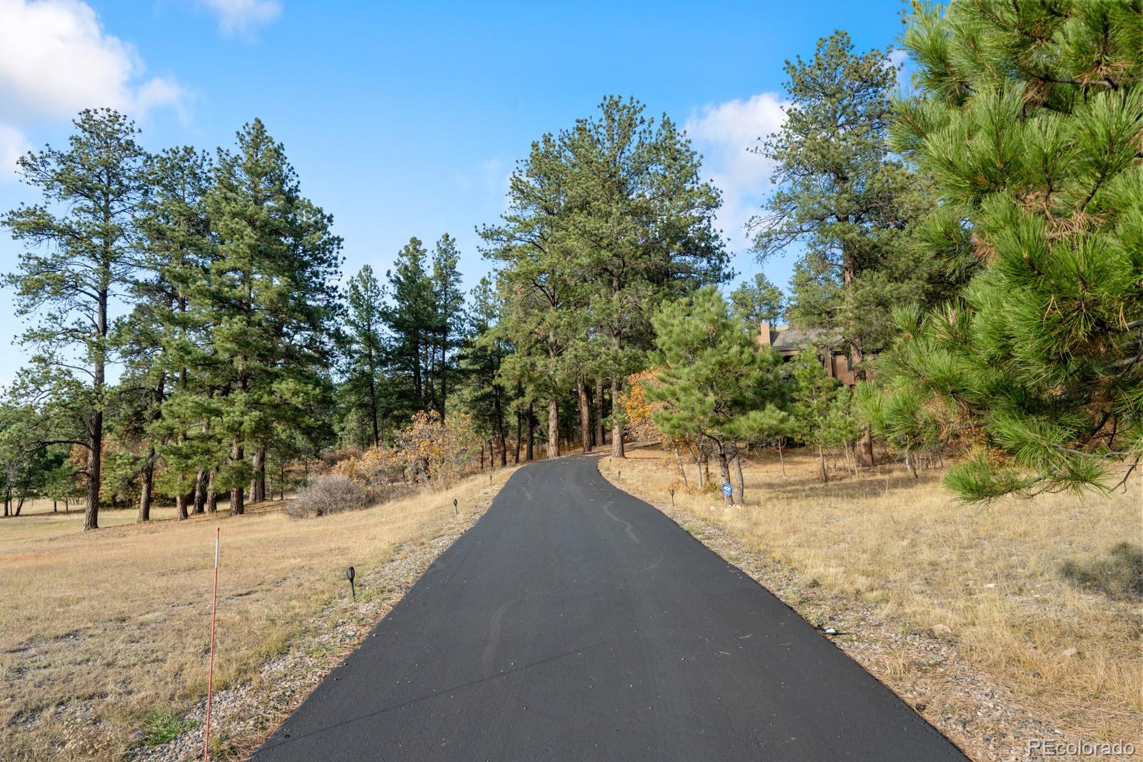 MLS Image #4 for 10691  tomichi drive,franktown, Colorado