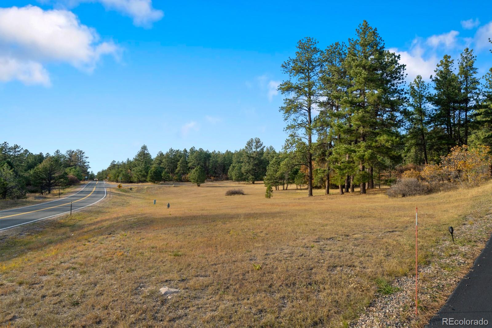 MLS Image #5 for 10691  tomichi drive,franktown, Colorado