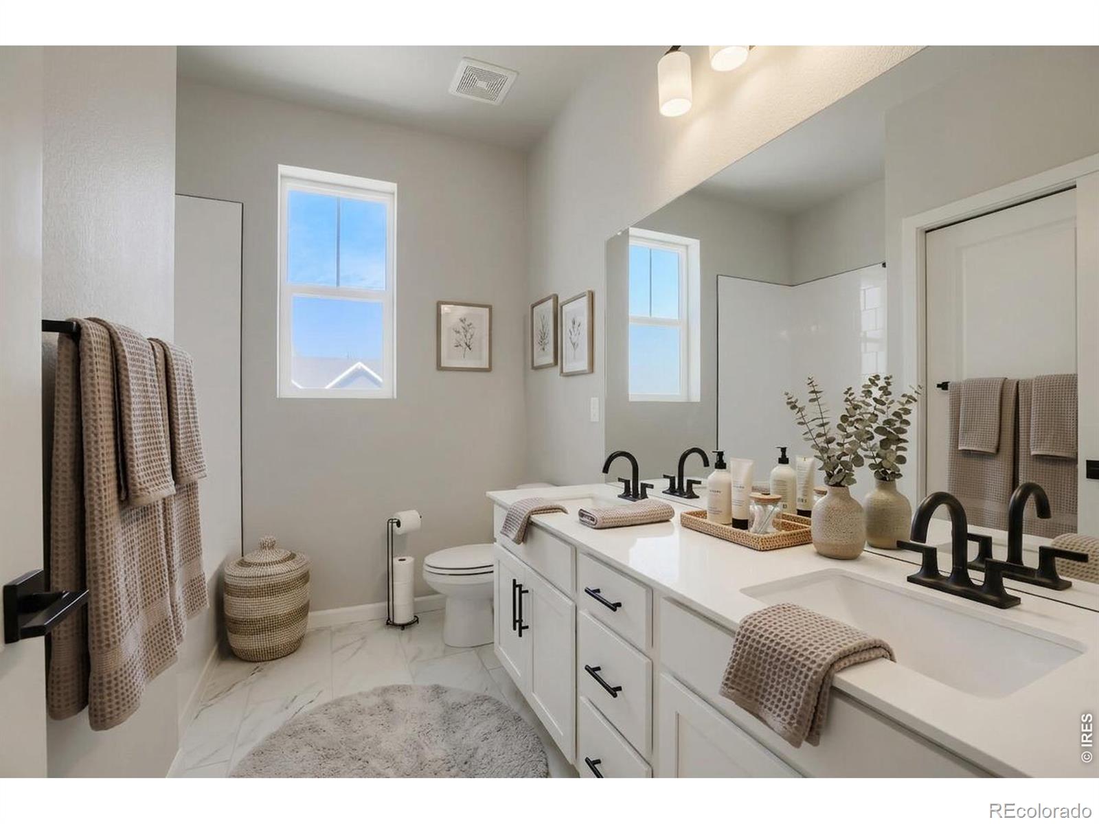 MLS Image #14 for 647  noola street,windsor, Colorado