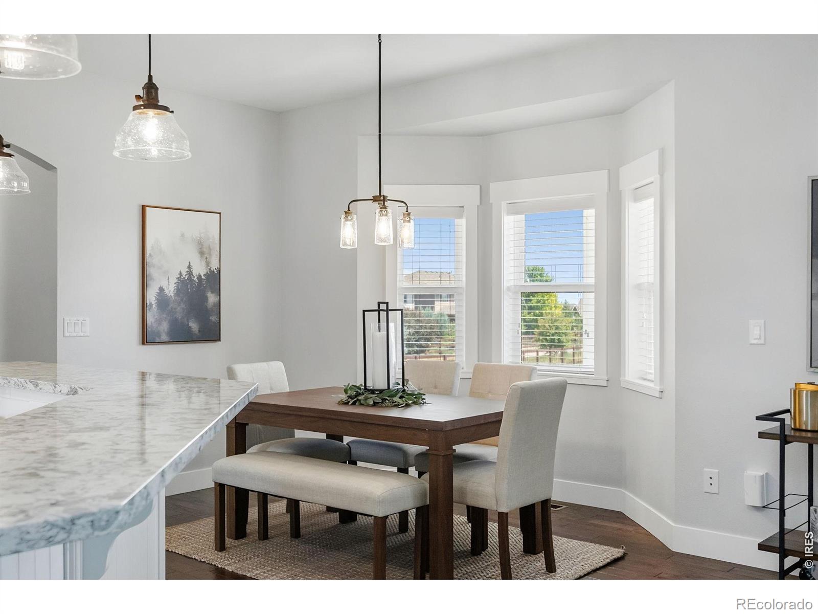 MLS Image #11 for 817  shade tree drive,windsor, Colorado
