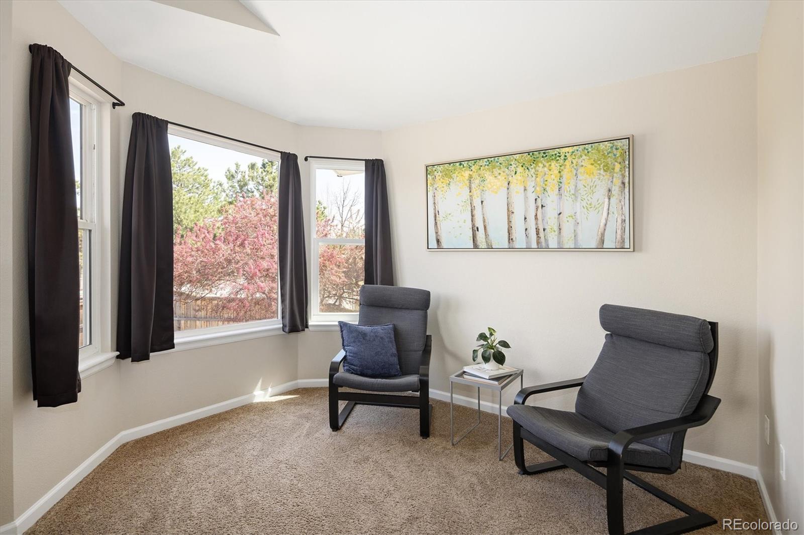 MLS Image #20 for 10580  wintersweet court,parker, Colorado