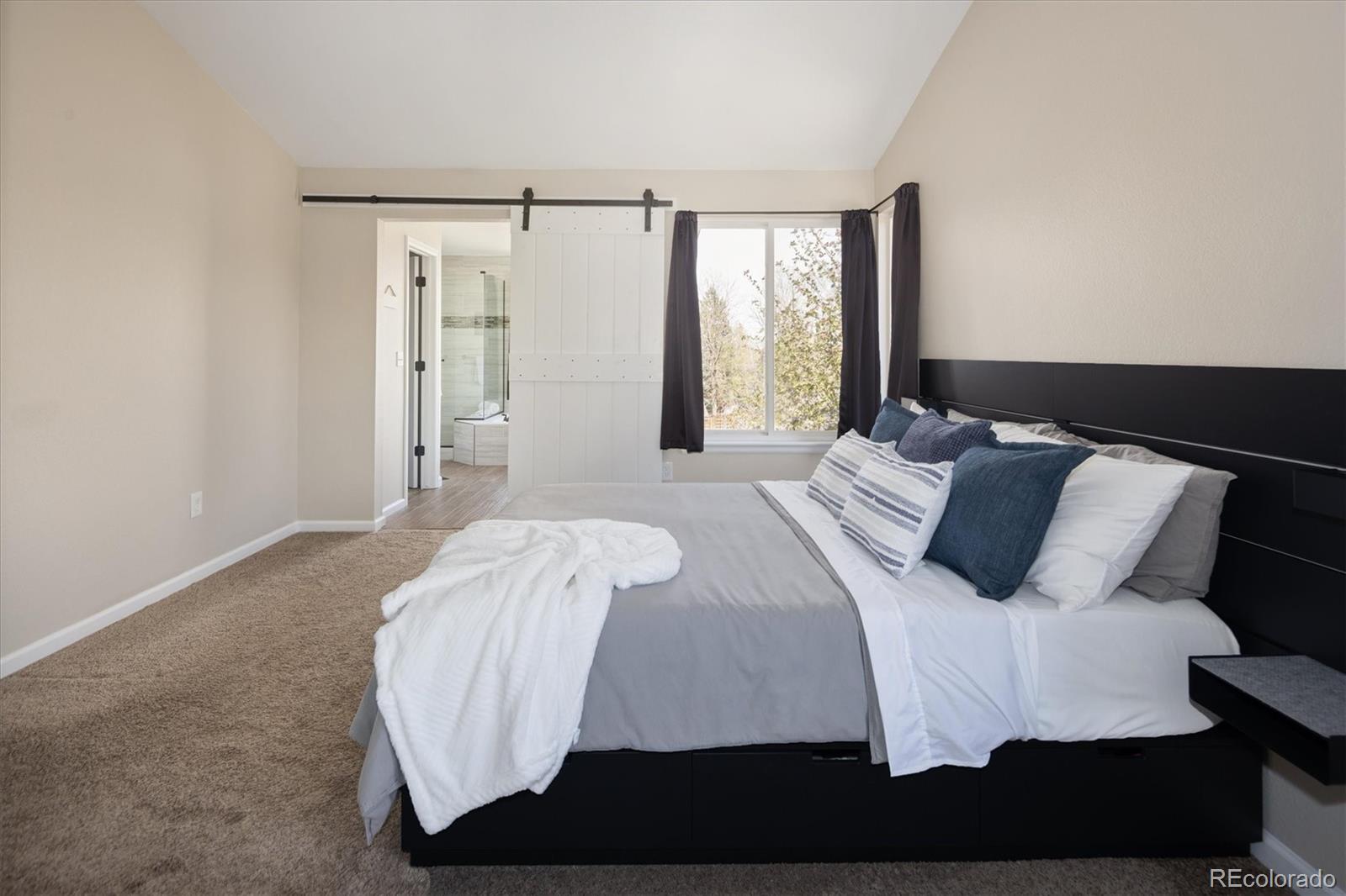 MLS Image #21 for 10580  wintersweet court,parker, Colorado