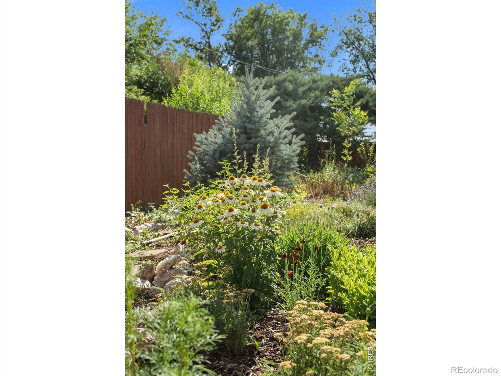 MLS Image #35 for 1303  8th avenue,longmont, Colorado