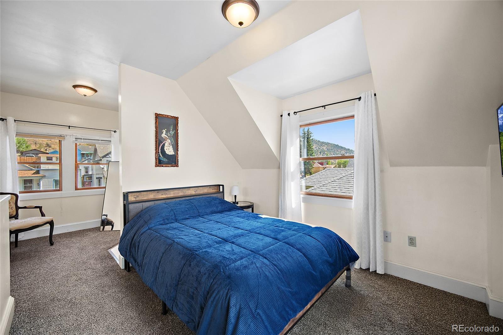 MLS Image #24 for 1229  colorado boulevard,idaho springs, Colorado