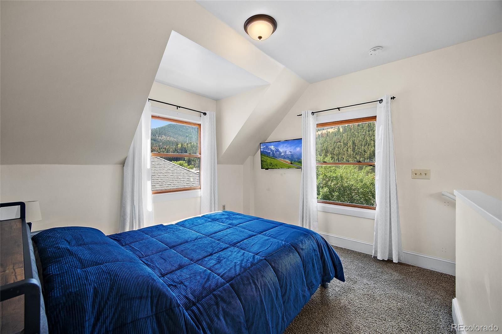 MLS Image #26 for 1229  colorado boulevard,idaho springs, Colorado