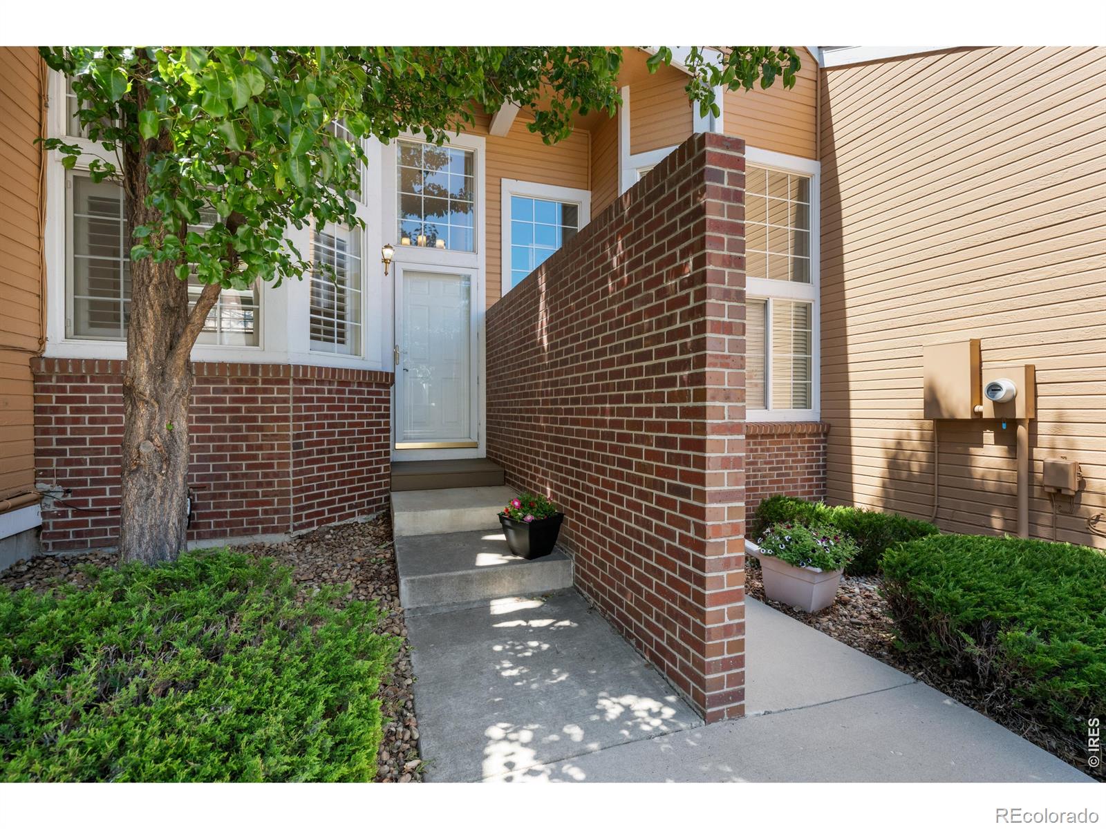 MLS Image #3 for 6465  yank court b,arvada, Colorado